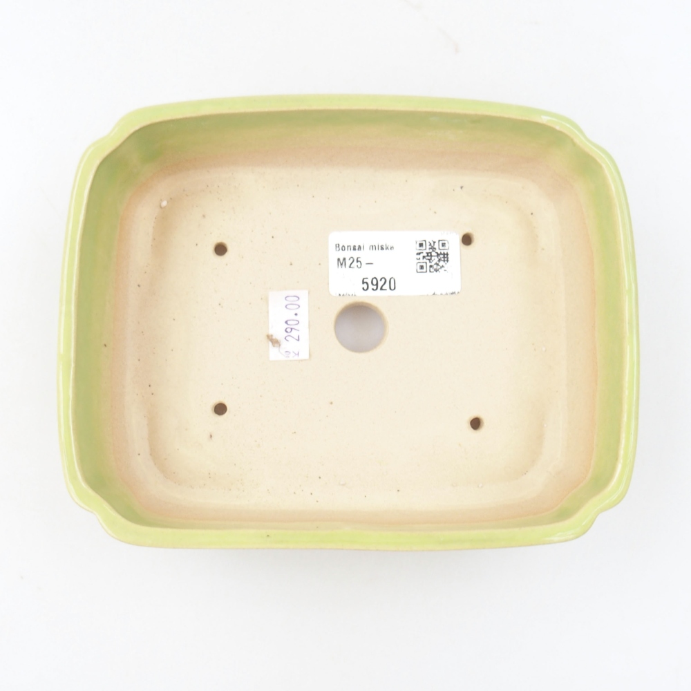 Bol à bonsaï en céramique 22 x 17 x 5 cm, vert