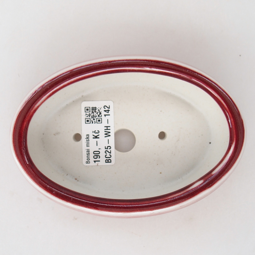 Bol à bonsaï en céramique 13 x 8,5 x 4 cm, couleur rouge