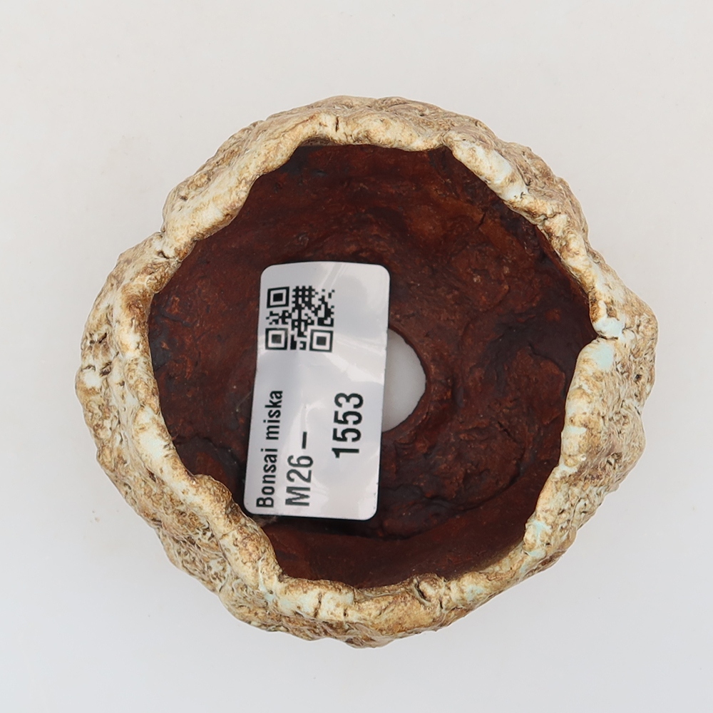 Coquille en céramique  5,5 x 5,5 x 5,5 cm , couleur beige-brun