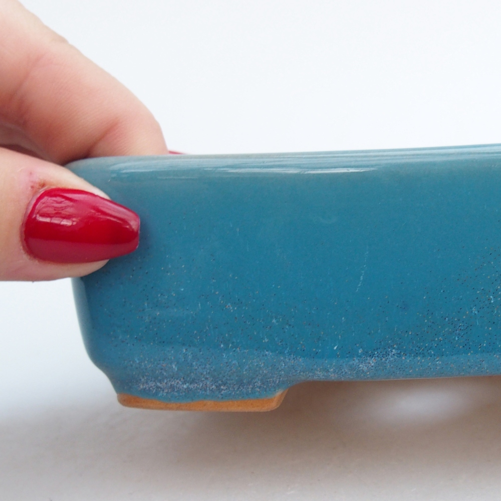 Bol à bonsaï en céramique 12 x 10 x 4 cm, couleur bleu