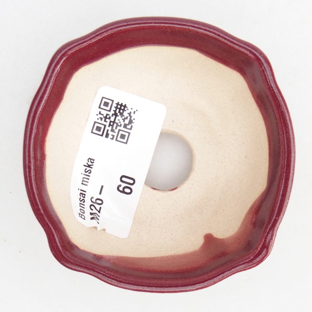 Mini bol bonsaï 6,5 x 6,5 x 3 cm, bordeaux