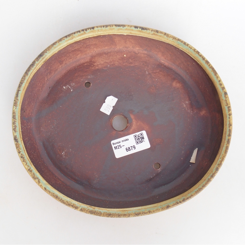 Bol à bonsaï en céramique 22,5 x 20 x 4,5 cm, vert