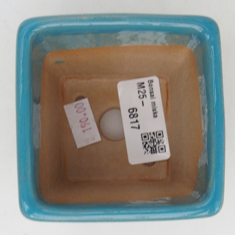 Bol à bonsaï en céramique 7,5 x 7,5 x 7 cm, couleur bleu