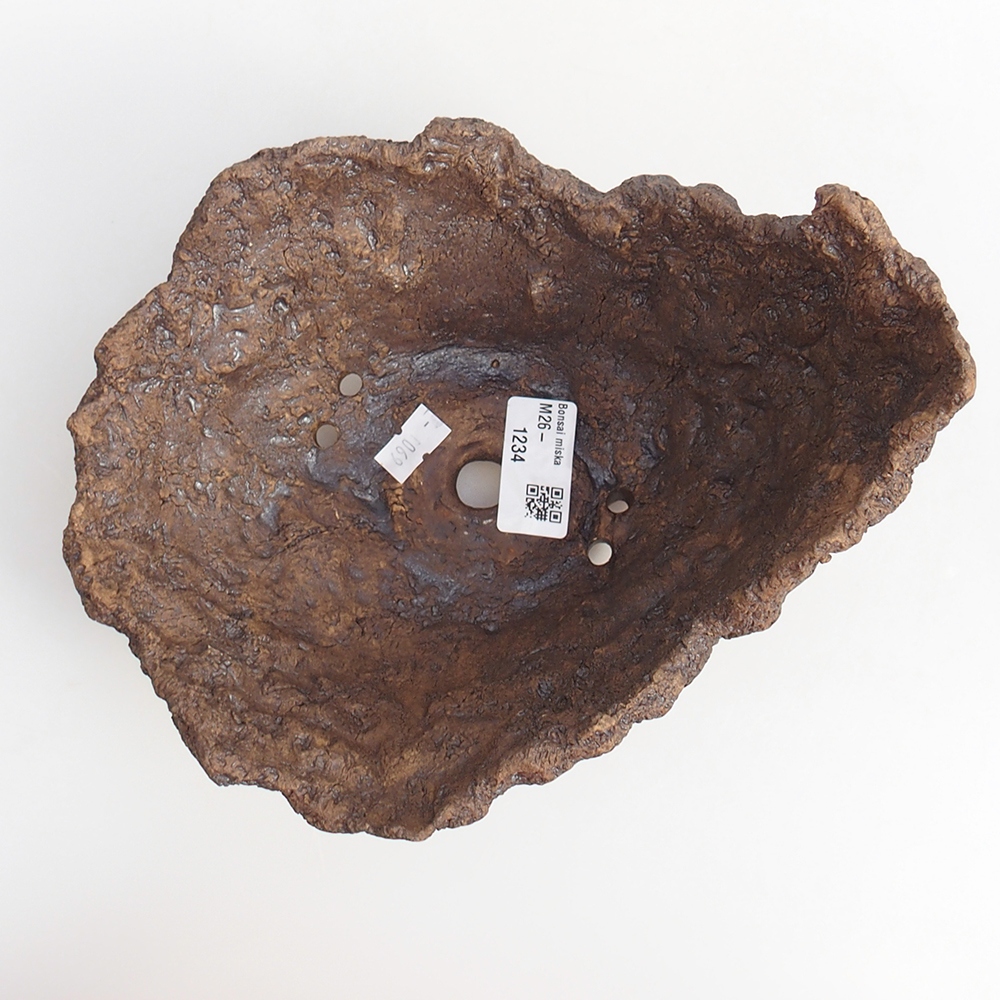 Coquille en céramique 19 x 16 x 14 cm , couleur marron