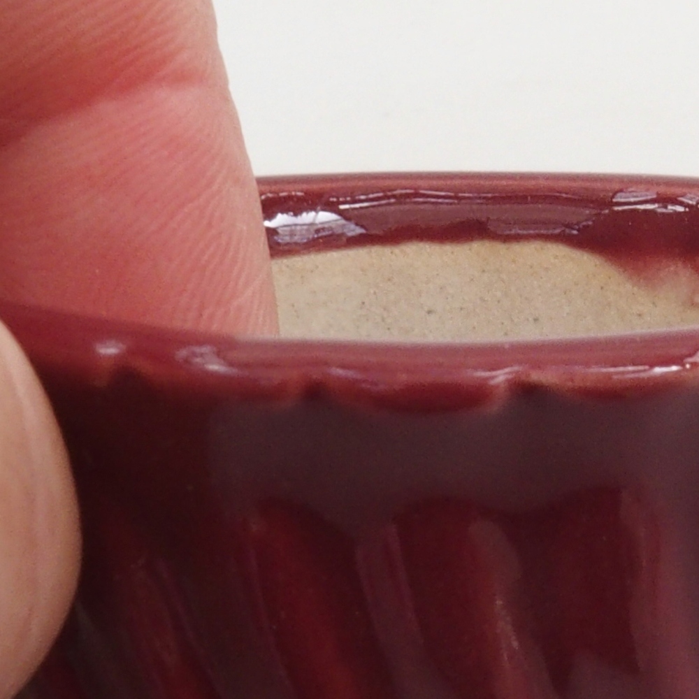 Mini bol bonsaï 5 x 5 x 2,5 cm, couleur bordeaux