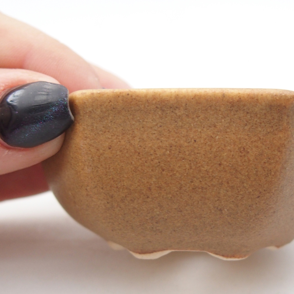 Mini bol bonsaï 7 x 6 x 3 cm, brun