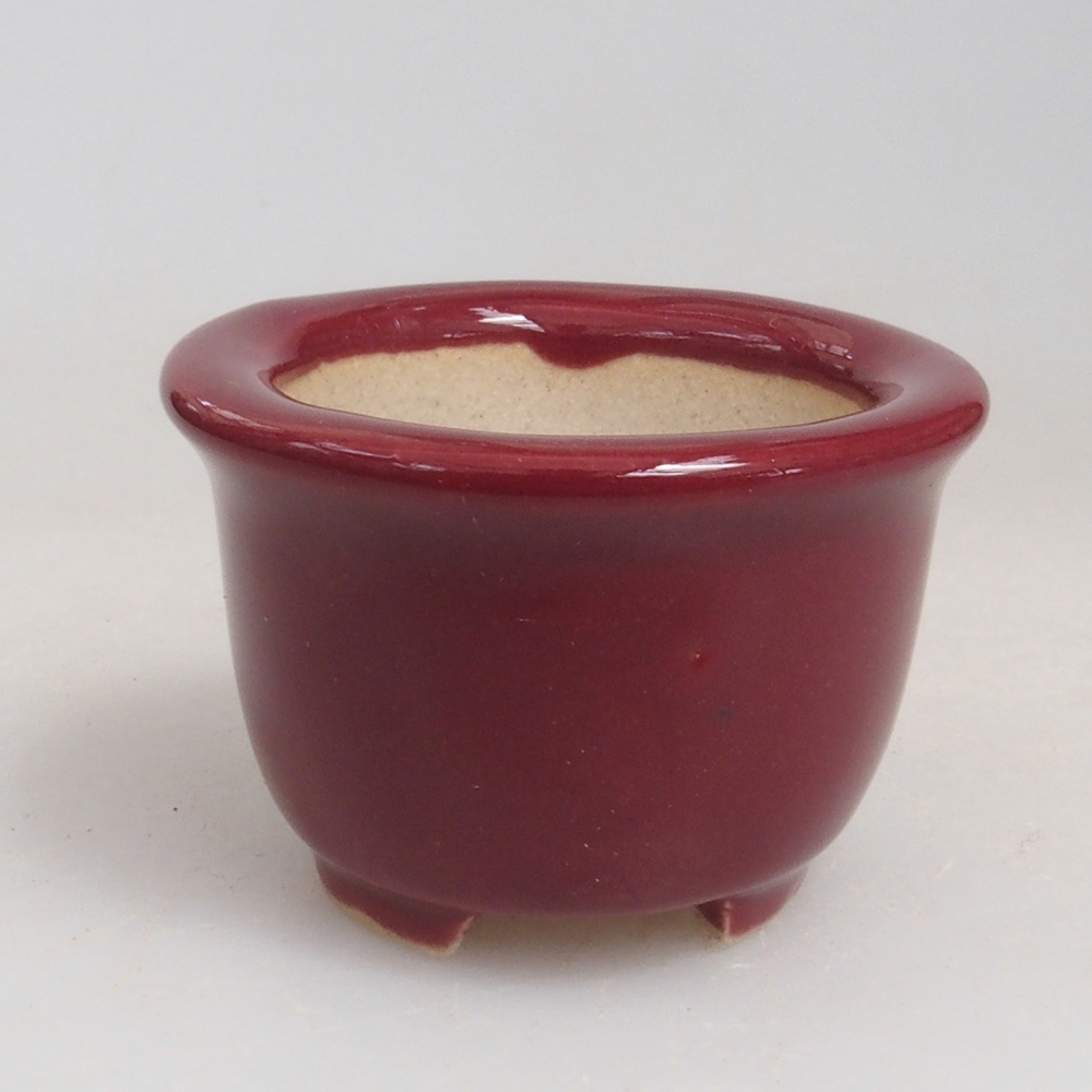 Mini bol bonsaï 3,5 x 3,5 x 2,5 cm, bordeaux