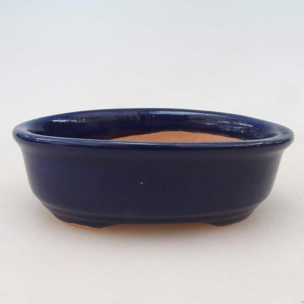 Bol Bonsaï + soucoupe H04 - bleu