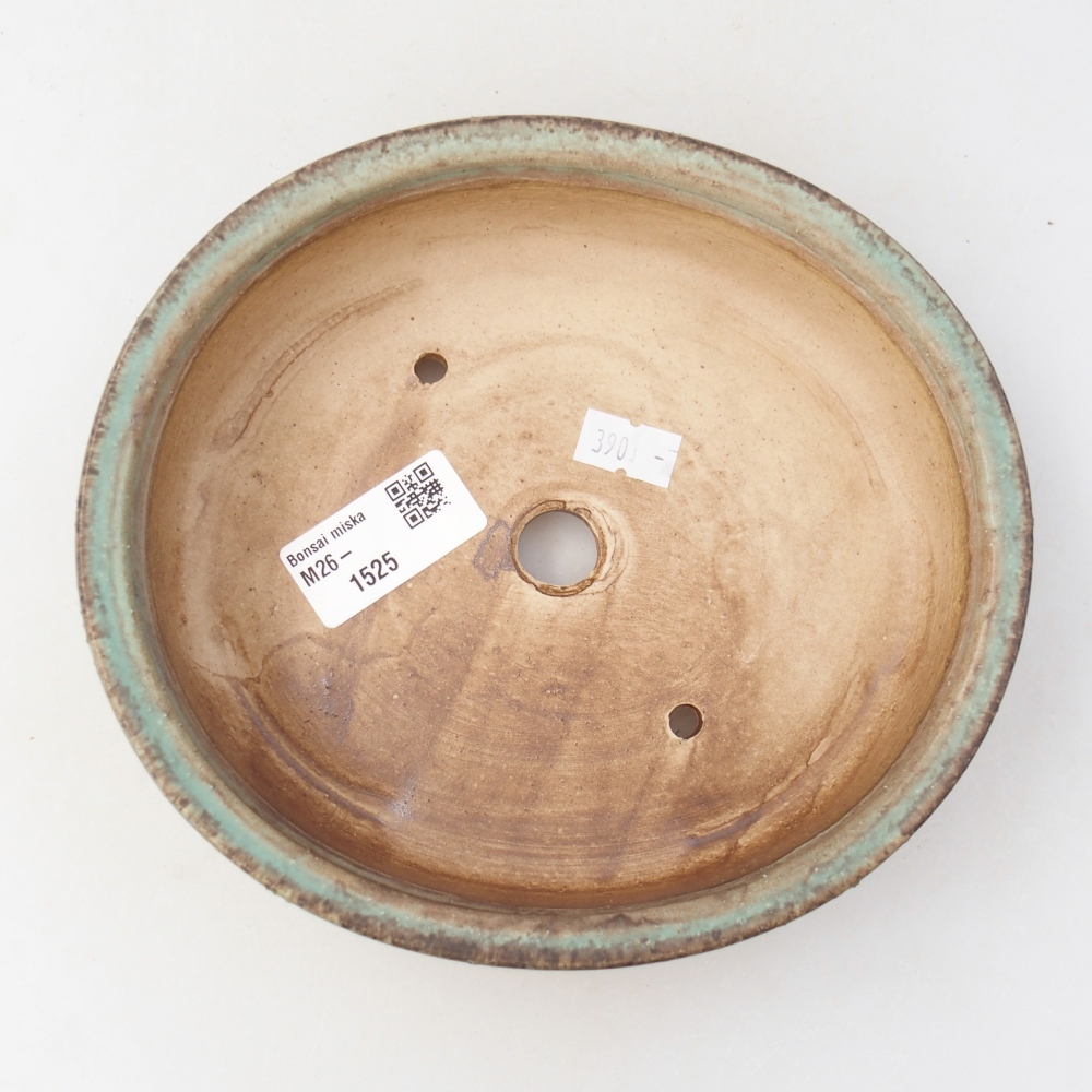 Bol à bonsaï en céramique 17,5 x 16 x 4,5 cm, vert