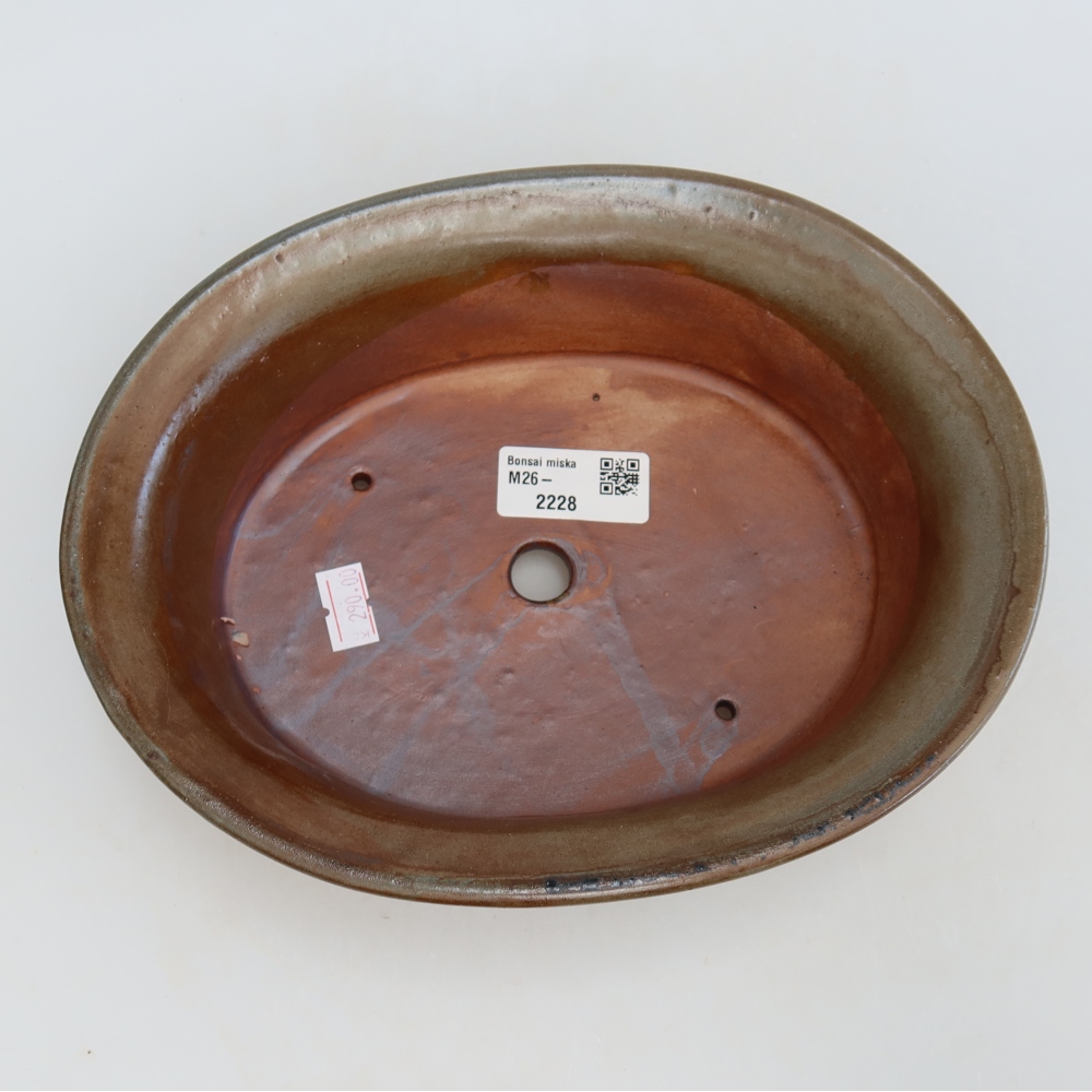 Pot à bonsaï en céramique 22 x 17,5 x 6,5 cm, couleur marron