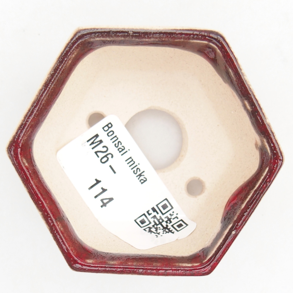 Mini bol bonsaï 6 x 5,5 x 3 cm, couleur rouge