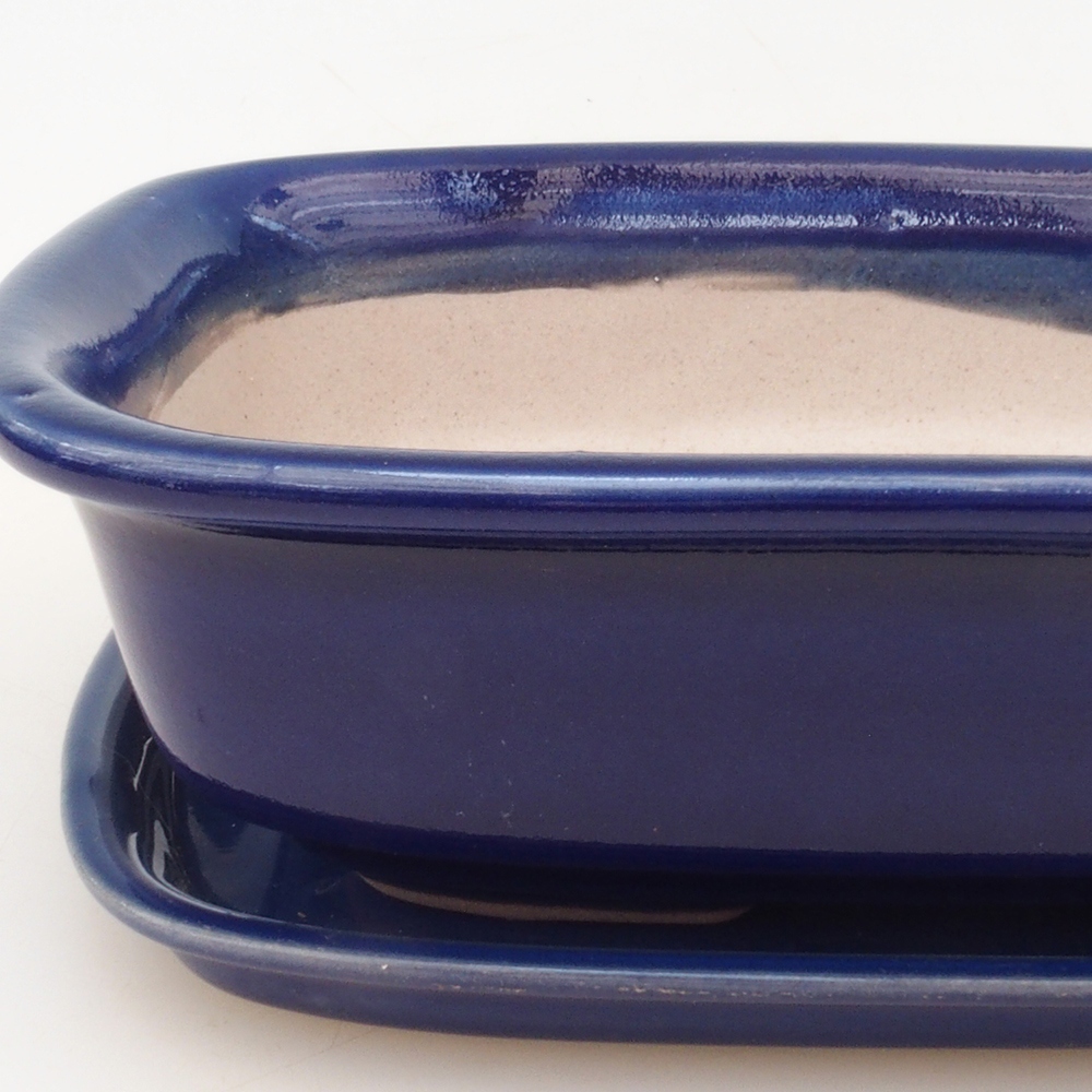 Bol Bonsaï + soucoupe H02 - bleu