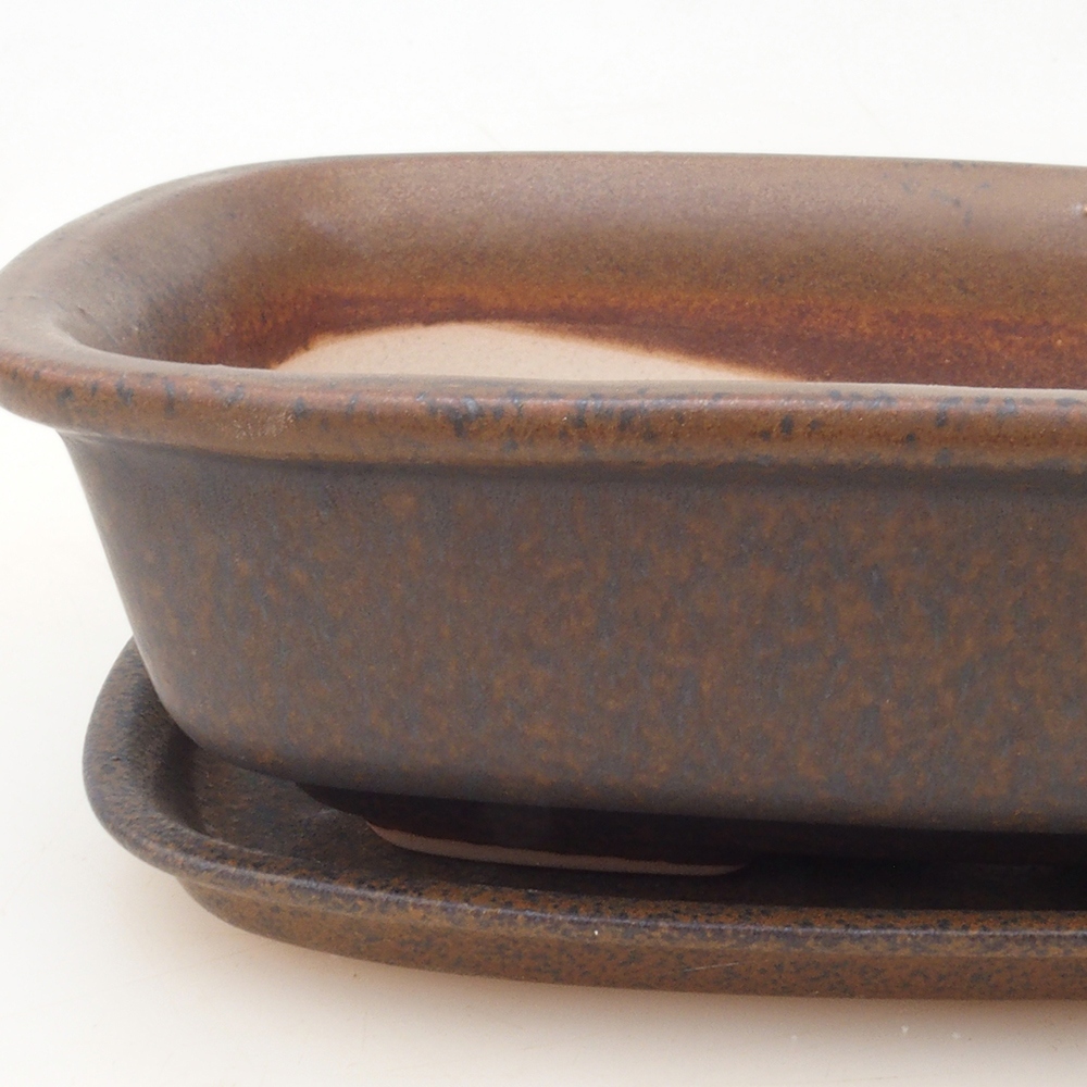 Bol Bonsaï + soucoupe H02 - brun