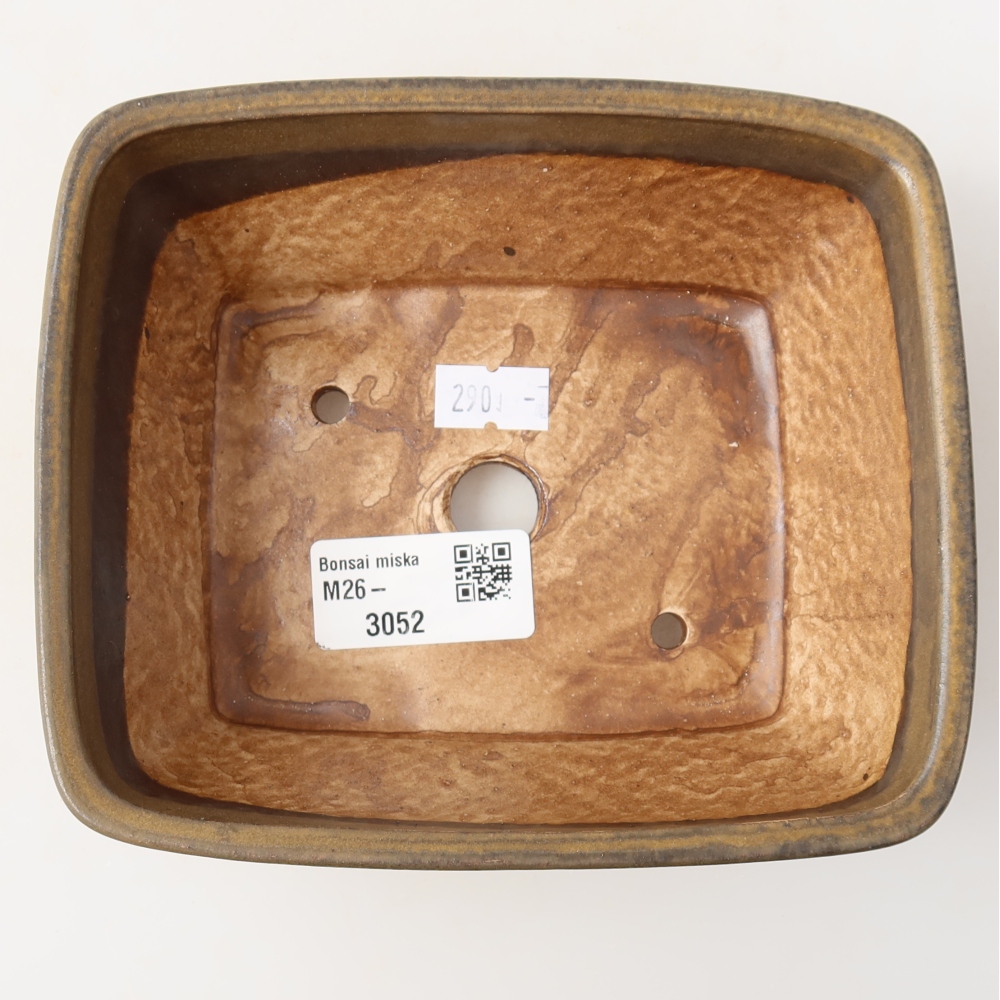 Pot à bonsaï en céramique 15 x 12,5 x 5,5 cm, couleur marron