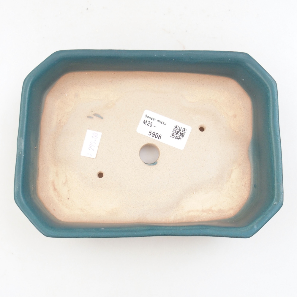 Bol à bonsaï en céramique 22 x 17 x 5 cm, vert