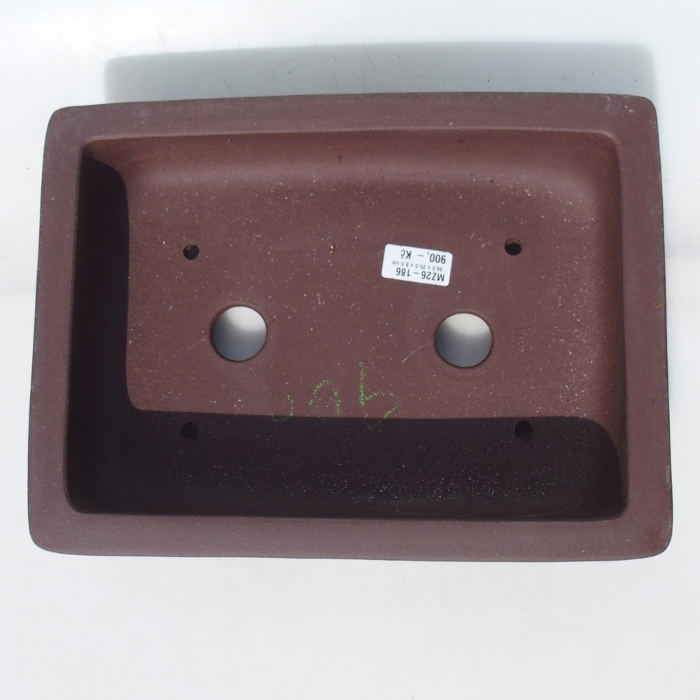 Bol pour bonsaï 34,5 x 25,5 x 8,5 cm bouleau brun