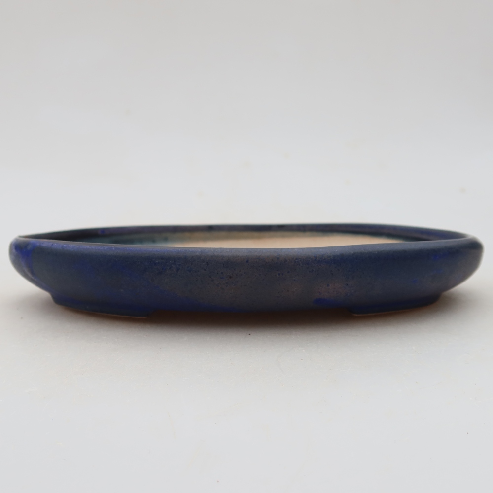 Pot à bonsaï en céramique 17 x 12 x 2,5 cm, couleur bleue