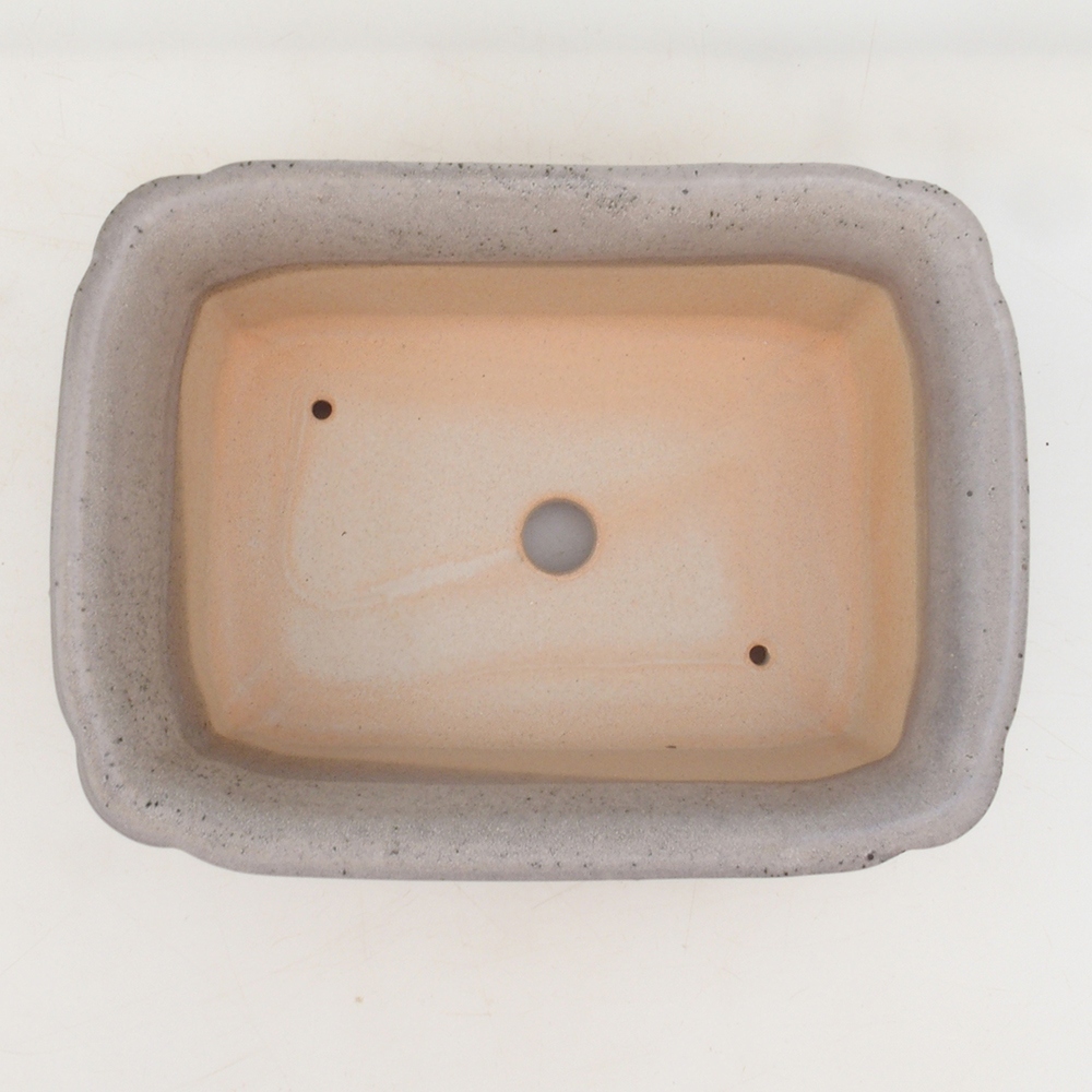 Coupe bonsaï H50 - 17 x 12,5 x 5,5 cm - beige