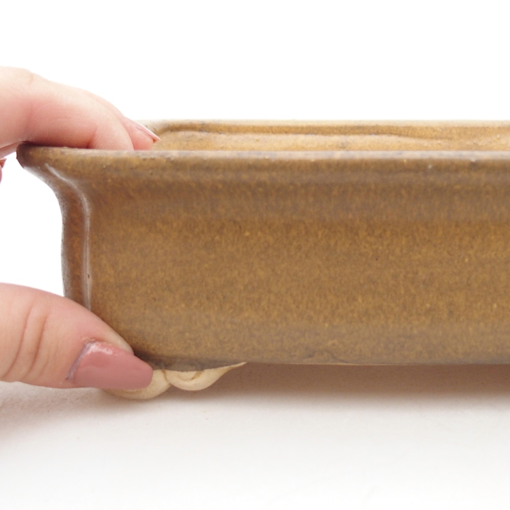 Bol à bonsaï en céramique 19 x 17 x 6 cm, brun