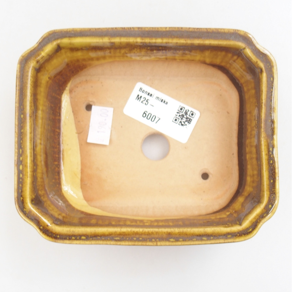 Bol à bonsaï en céramique 22 x 17 x 5 cm, vert