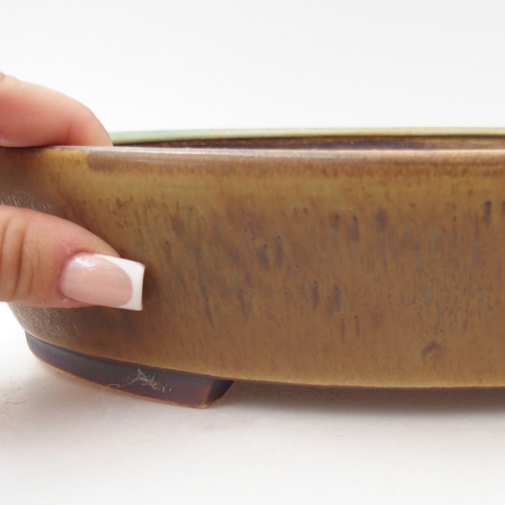 Bol à bonsaï en céramique 28,5 x 25 x 6 cm, vert