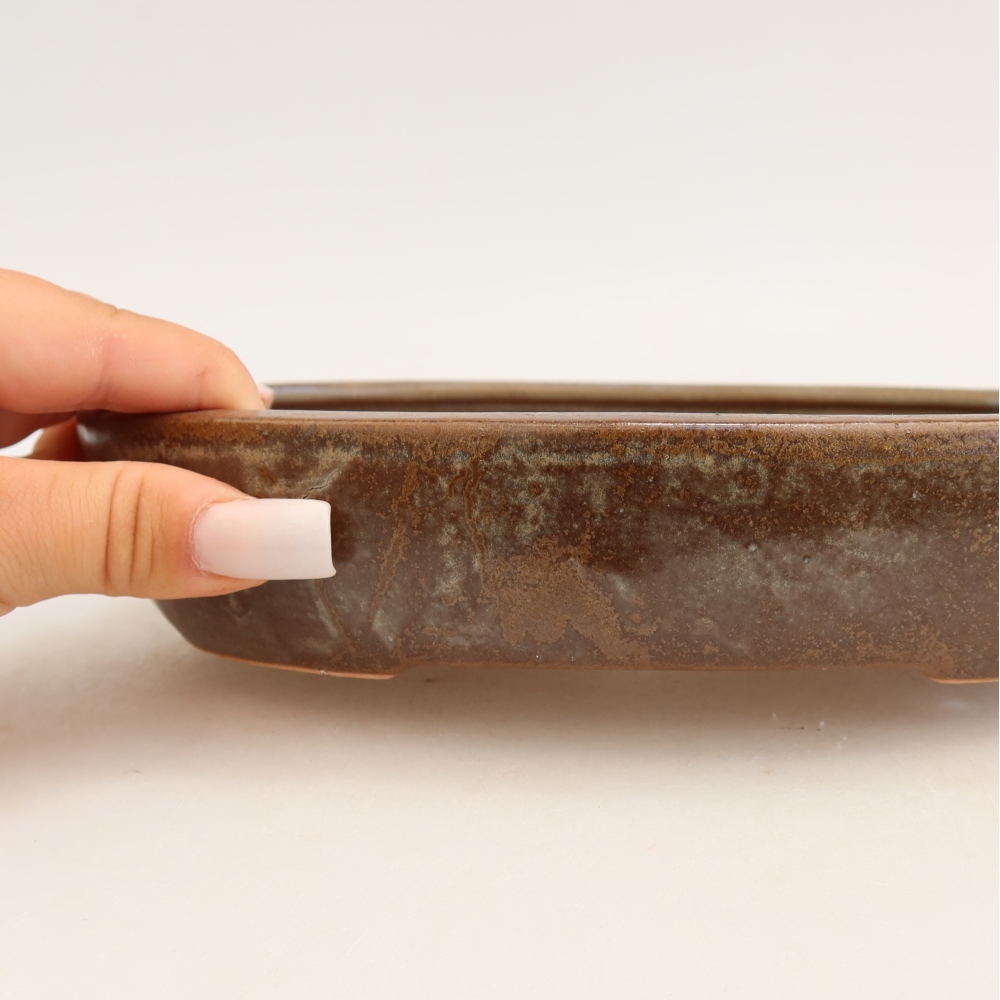 Bol à bonsaï en céramique 22 x 17 x 4 cm, brun