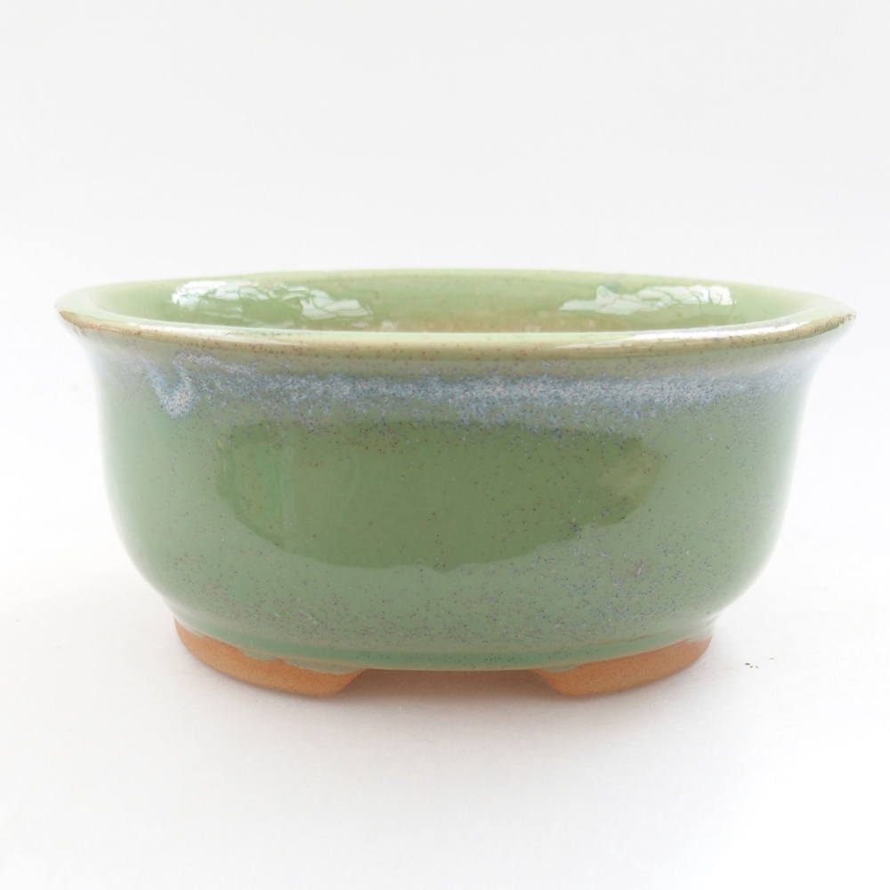 Bol à bonsaï en céramique 22 x 17 x 5 cm, vert