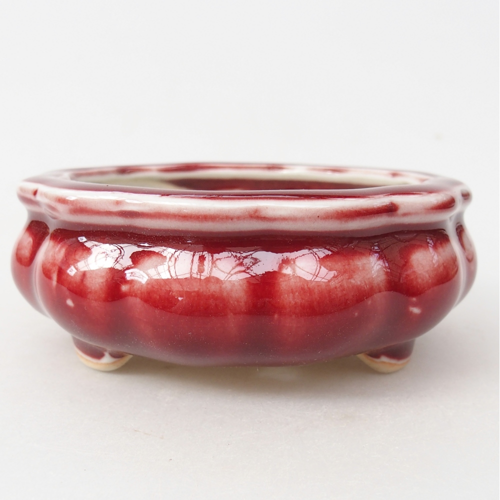 Bol à bonsaï en céramique 10 x 10 x 4 cm, couleur rouge