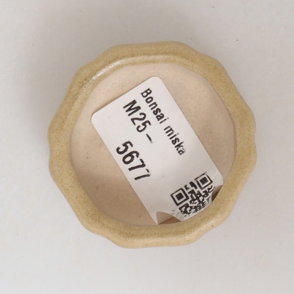 Mini bol bonsaï 4,5 x 4,5 x 2 cm, brun