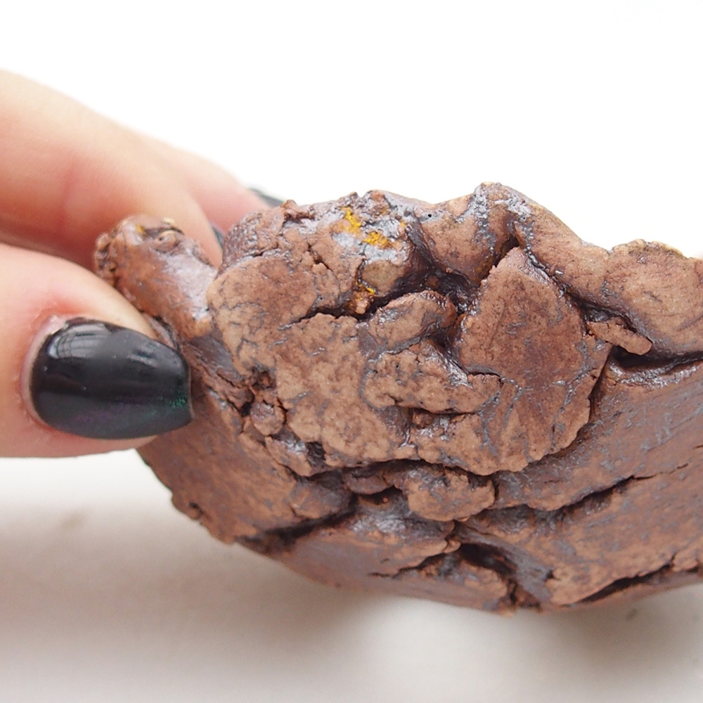 Coquille en céramique 9 x 8,5 x 4,5 cm , couleur marron