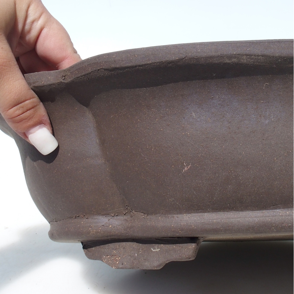 Bol pour bonsaï 40 x 32 x 10,5 cm bouleau brun