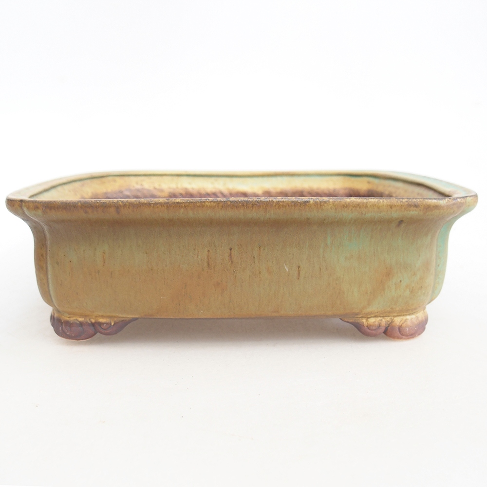 Bol à bonsaï en céramique 20 x 17 x 6 cm, vert