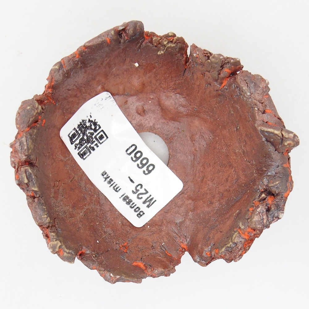 Coquille en céramique 7 x 7 x 4 cm , couleur orange