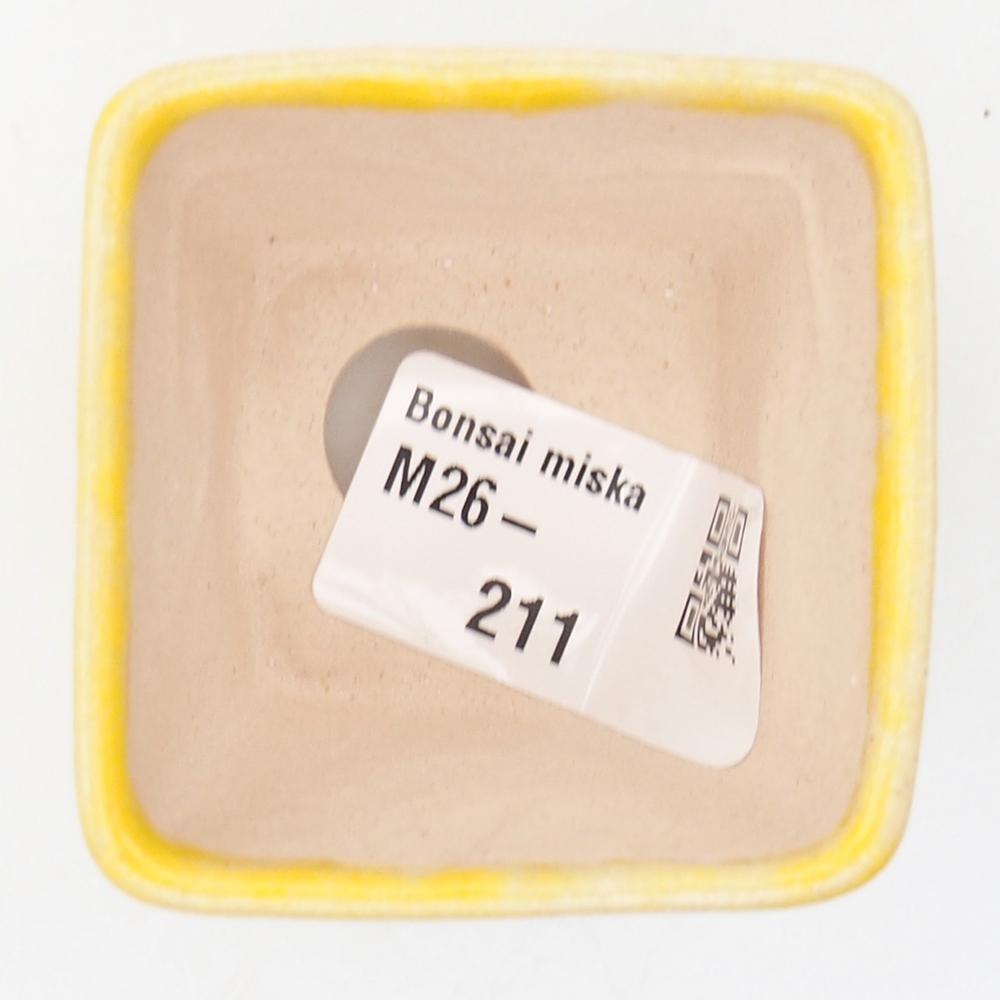 Mini bol bonsaï 5 x 5 x 5 cm, jaune