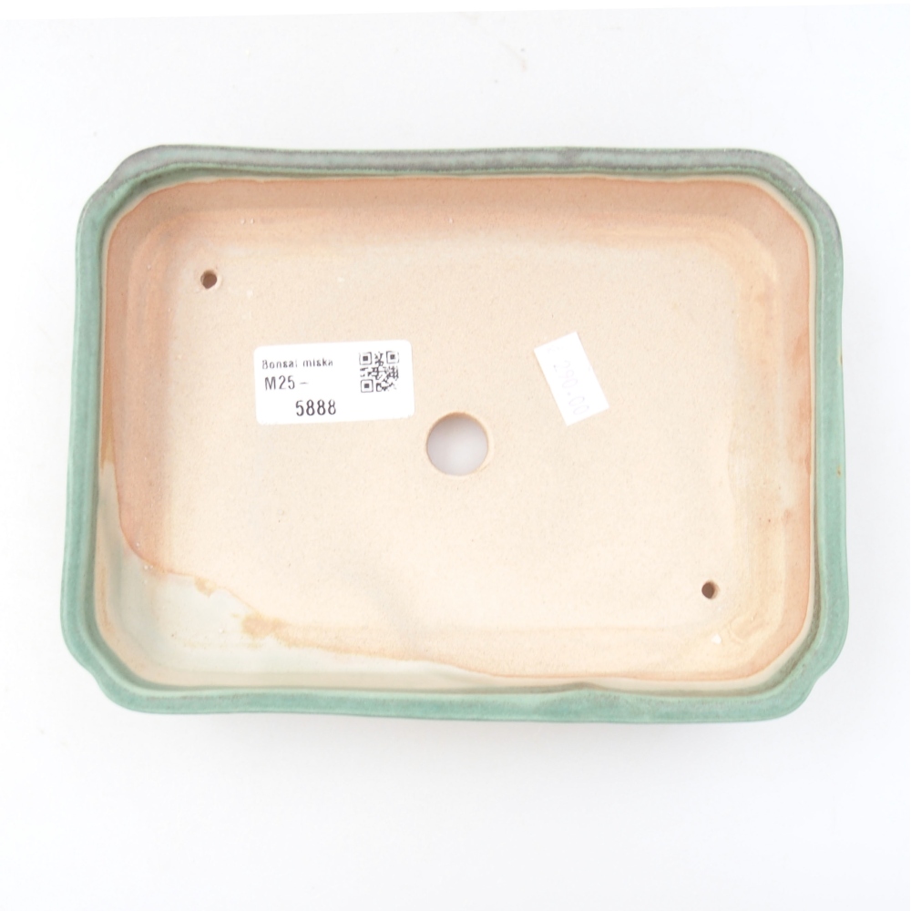 Bol à bonsaï en céramique 22 x 17 x 5 cm, vert