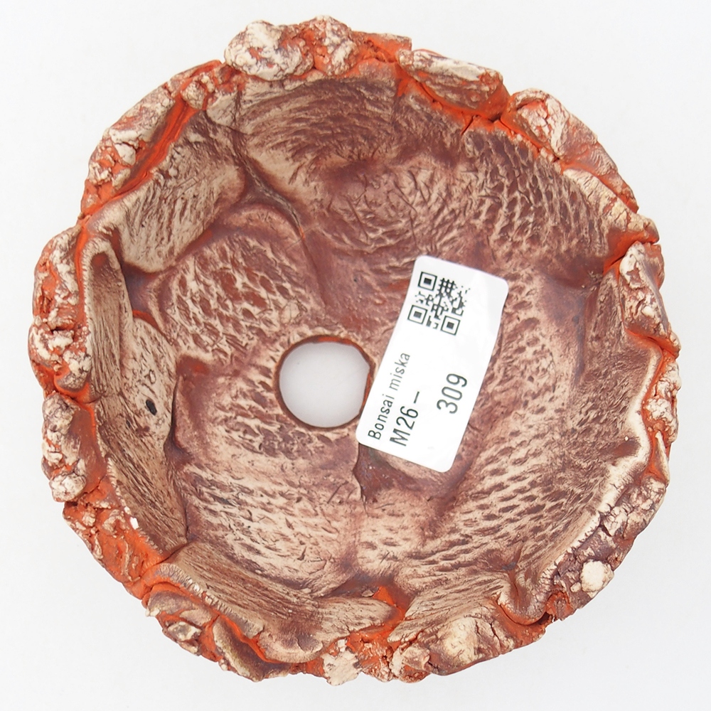 Coquille en céramique 11 x 11 x 6 cm , couleur orange