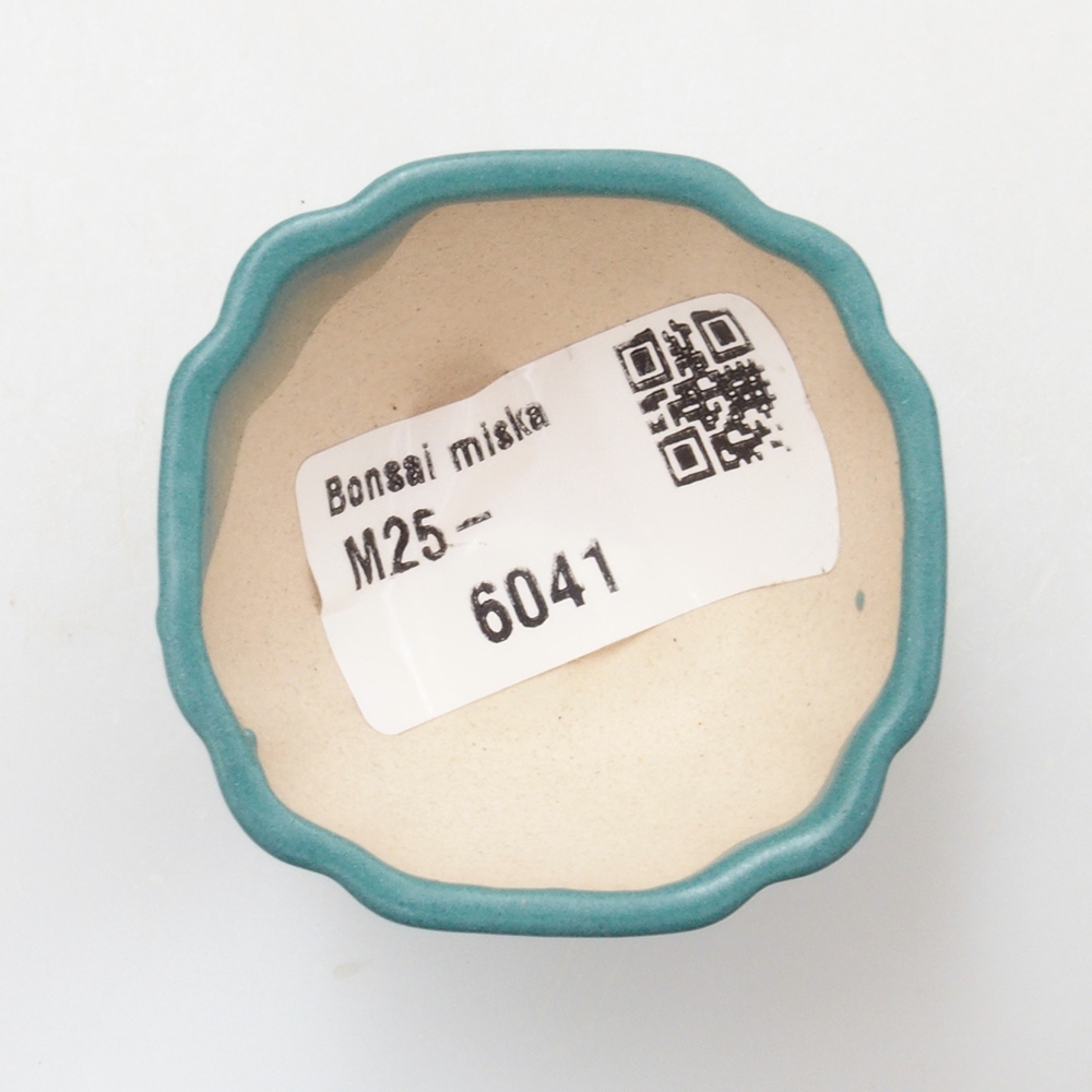 Bol à bonsaï en céramique 6,5 x 5,5 x 4 cm, couleur bleu