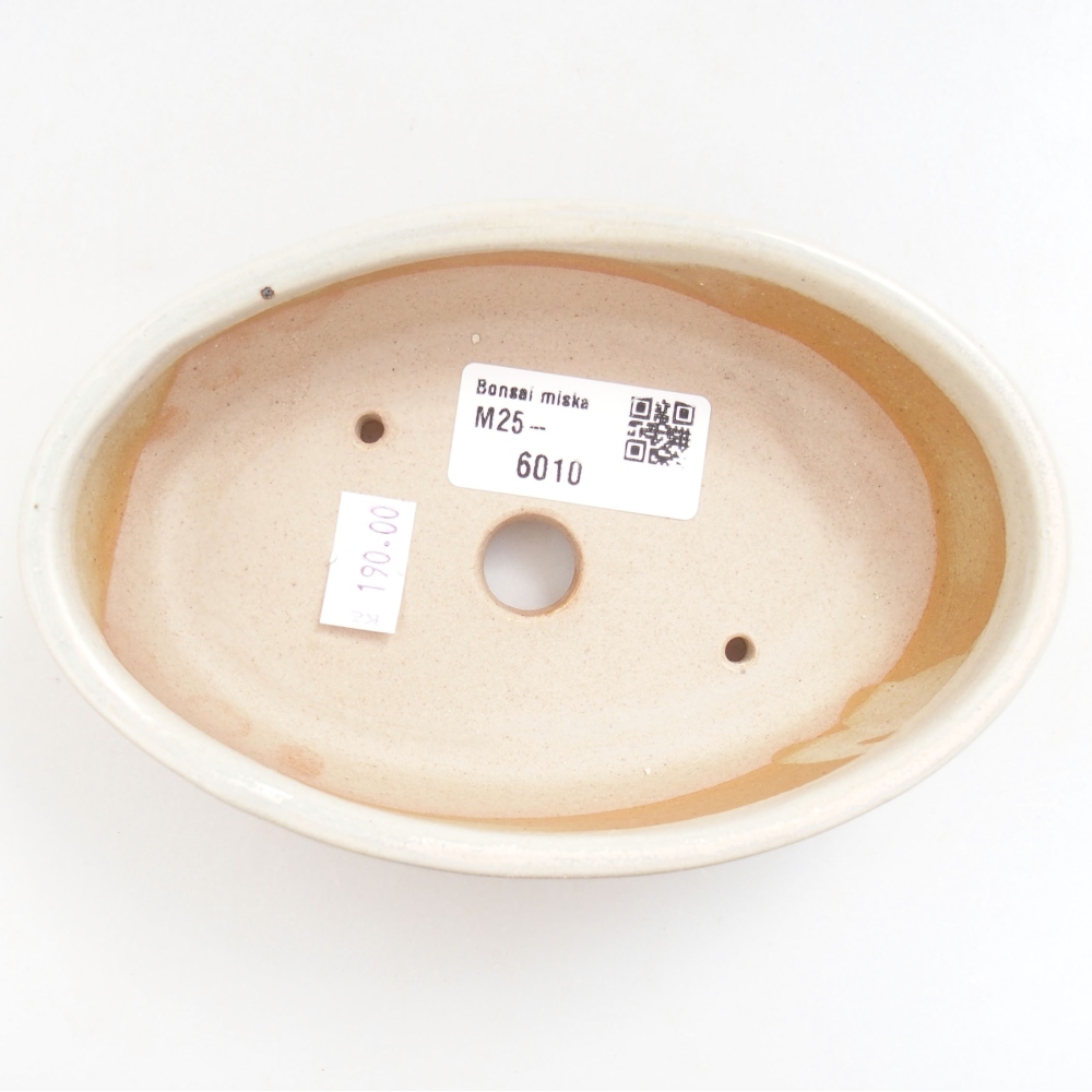 Bol à bonsaï en céramique 22 x 17 x 5 cm, vert