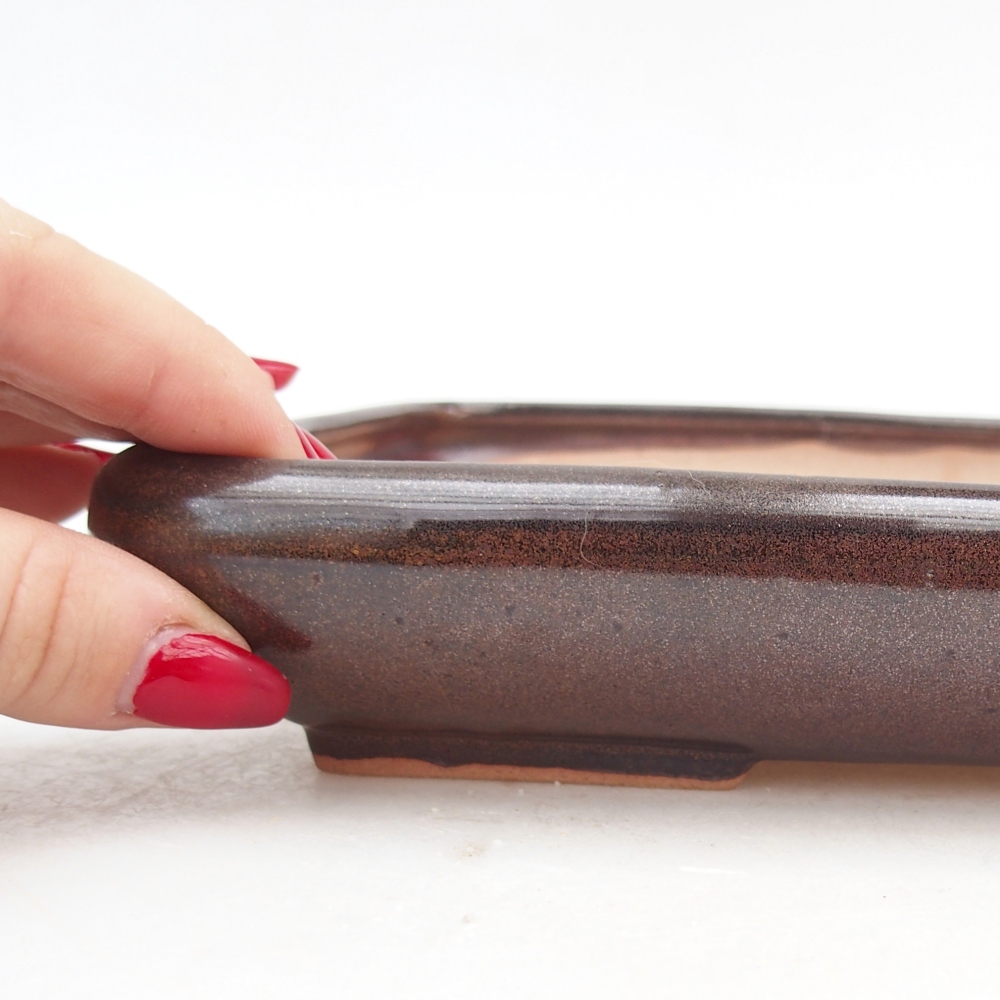 Bol à bonsaï en céramique 24 x 17,5 x 4 cm, brun