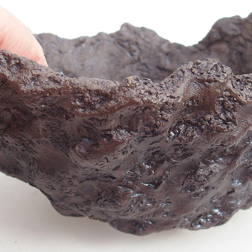 Coquille en céramique 18 x 16 x 15 cm , couleur marron