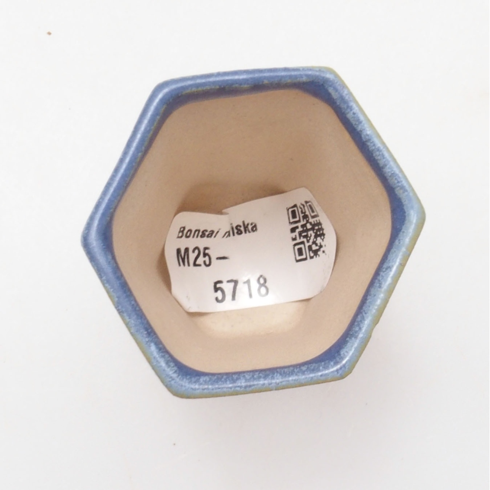 Mini bol bonsaï 4,5 x 4,5 x 6,5 cm, couleur bleu