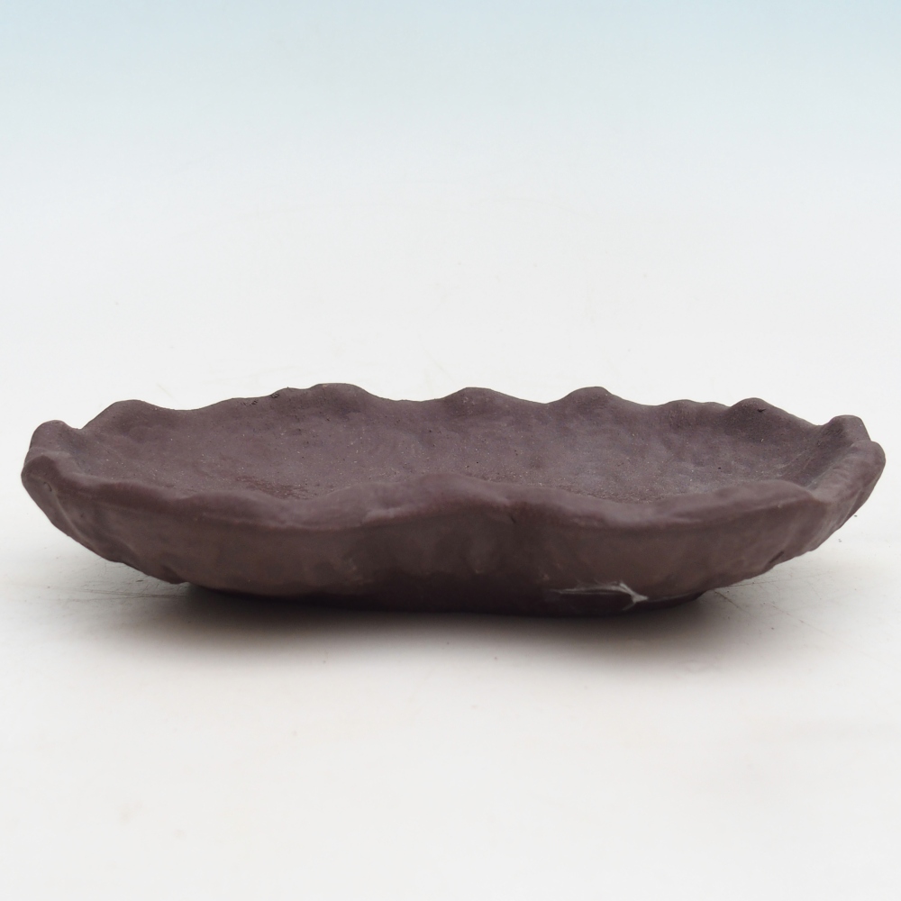 Coquille en céramique 17 x 12 x 3 cm , couleur marron