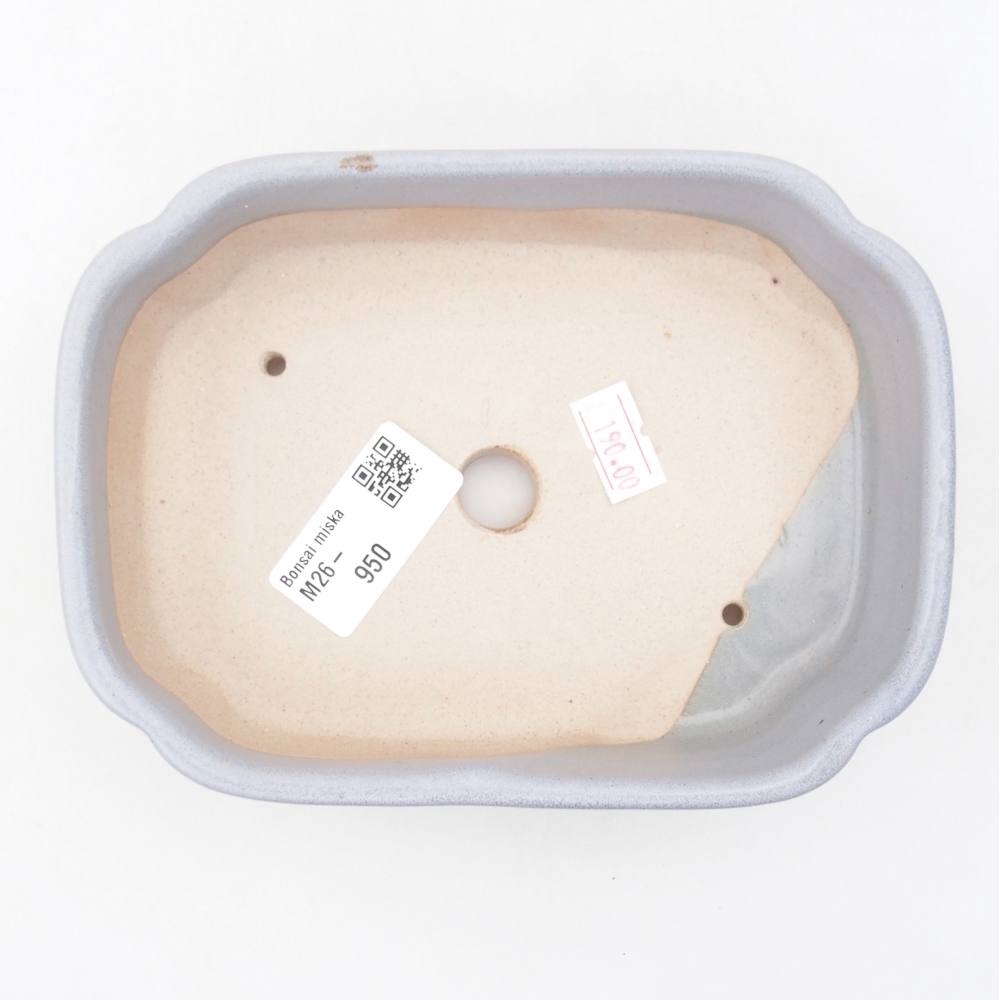 Bol à bonsaï en céramique 15,5 x 11,5 x 4 cm, couleur bleu