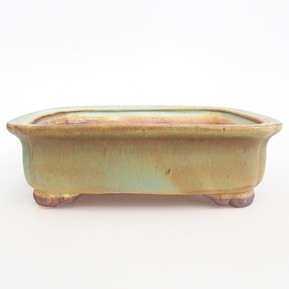 Bol à bonsaï en céramique 20 x 17 x 6 cm, vert