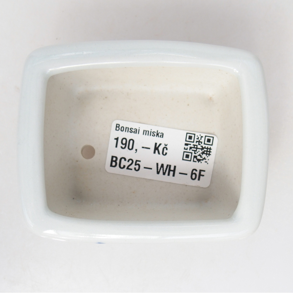 Mini bol bonsaï 8 x 6,5 x 3,5 cm, blanc