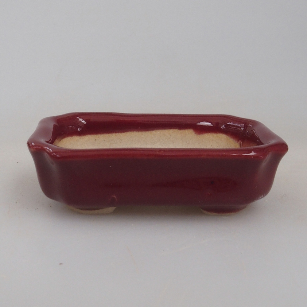 Mini bol bonsaï 5,5 x 3,5 x 1,5 cm, bordeaux
