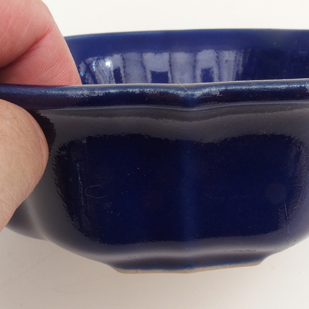 Coupe bonsaï H06 - 14,5 x 14,5 x 5 cm - bleu