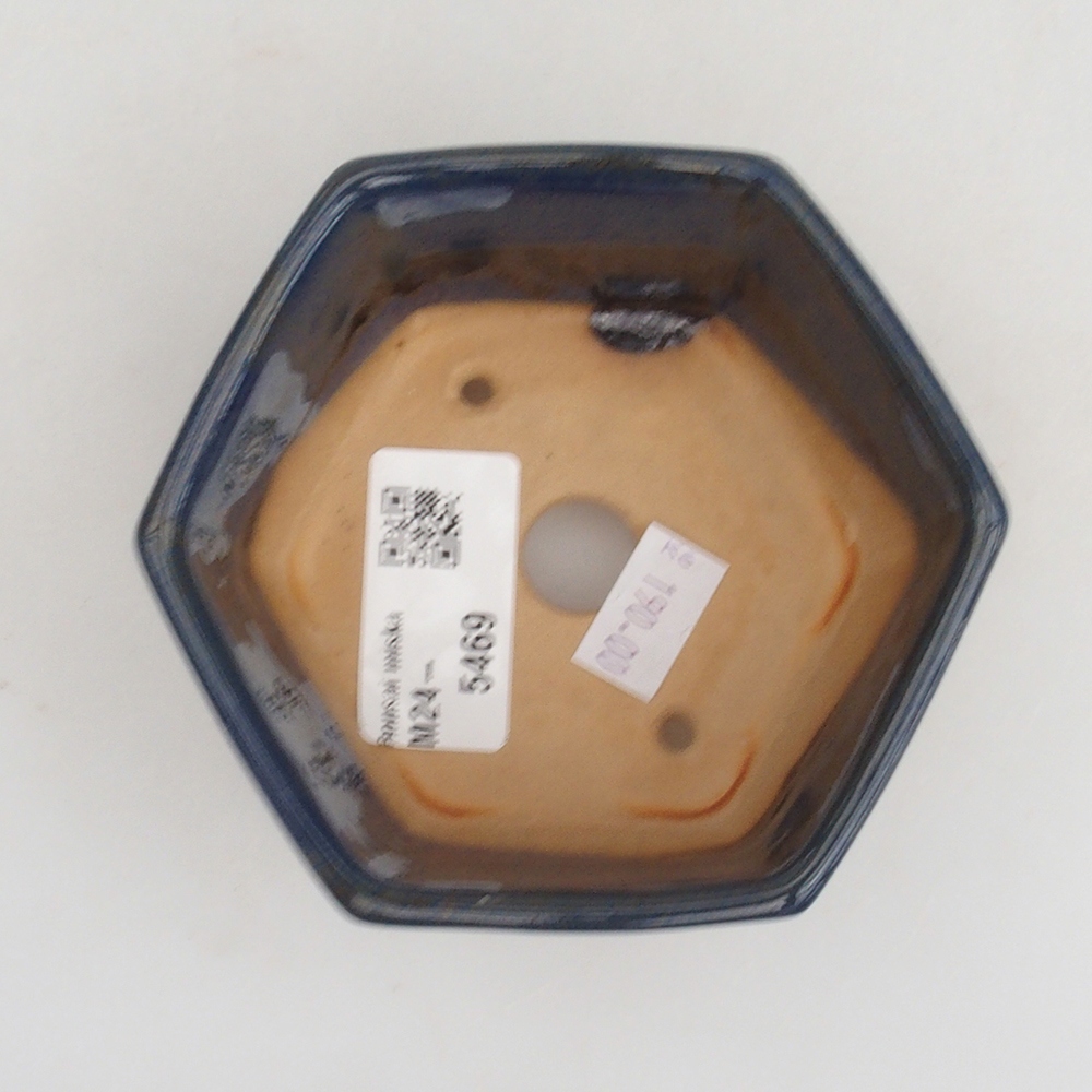 Bol à bonsaï en céramique 9,5 x 9 x 4,5 cm, couleur bleu