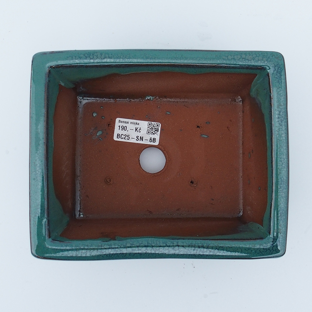 Bol 20 x 16,5 x 8 cm vert