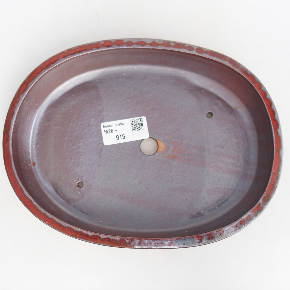 Bol à bonsaï en céramique 22 x 17 x 4 cm, couleur rouge